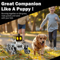 Remote & Watch Control Stunt Spray Robot Dog